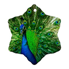 Peacock Peafowl Pattern Plumage Ornament (snowflake) by Pakrebo