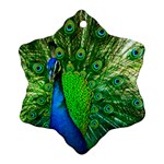 Peacock Peafowl Pattern Plumage Ornament (Snowflake) Front