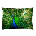 Peacock Peafowl Pattern Plumage Pillow Case (Two Sides) Front