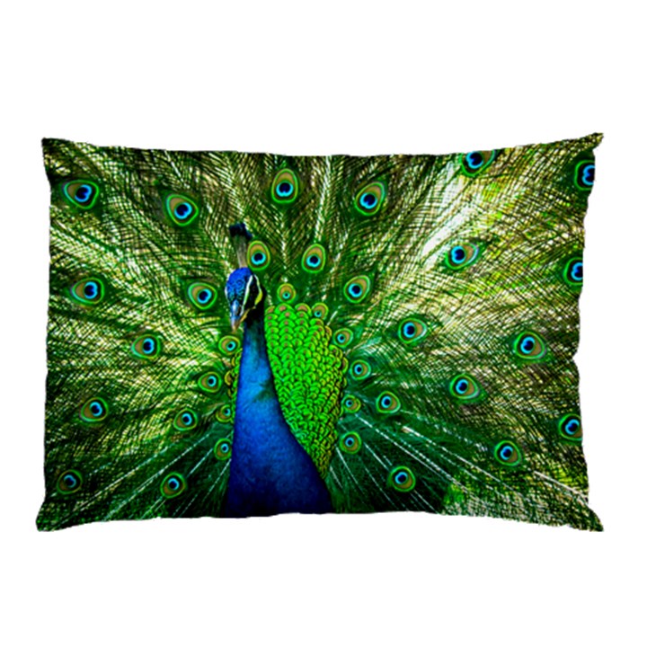 Peacock Peafowl Pattern Plumage Pillow Case (Two Sides)