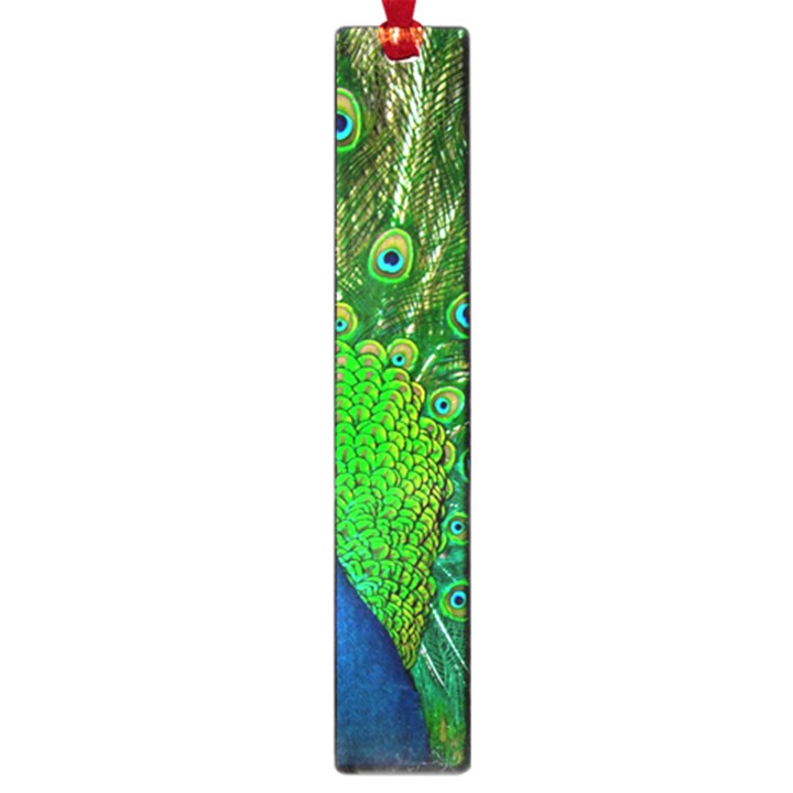 Peacock Peafowl Pattern Plumage Large Book Marks