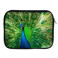 Peacock Peafowl Pattern Plumage Apple Ipad 2/3/4 Zipper Cases by Pakrebo