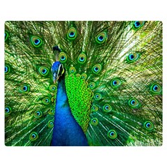 Peacock Peafowl Pattern Plumage Double Sided Flano Blanket (medium)  by Pakrebo