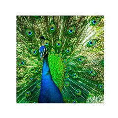 Peacock Peafowl Pattern Plumage Small Satin Scarf (square) by Pakrebo