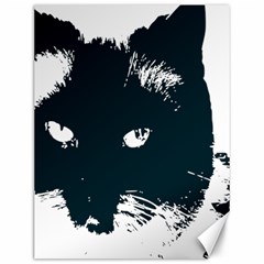 Cat Nature Design Animal Skin Black Canvas 12  X 16 