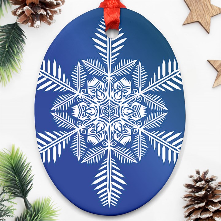 Flake Crystal Snow Winter Ice Oval Ornament (Two Sides)