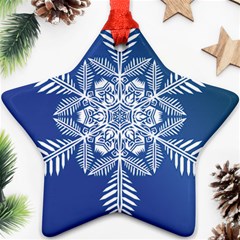 Flake Crystal Snow Winter Ice Star Ornament (two Sides) by HermanTelo