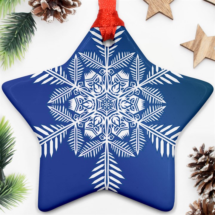 Flake Crystal Snow Winter Ice Star Ornament (Two Sides)