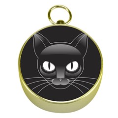 Grey Eyes Kitty Cat Gold Compasses