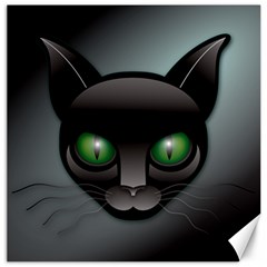 Green Eyes Kitty Cat Canvas 20  X 20 