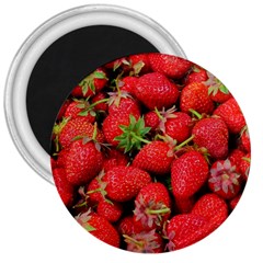 Strawberries 3  Magnets