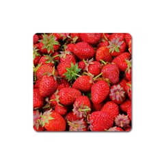 Strawberries Square Magnet