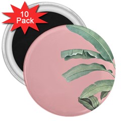 Banana leaf on pink 3  Magnets (10 pack) 