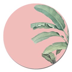 Banana leaf on pink Magnet 5  (Round)