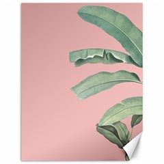 Banana leaf on pink Canvas 12  x 16 