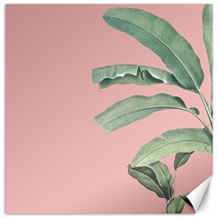 Banana leaf on pink Canvas 20  x 20 