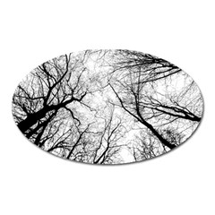 Forest Trees Silhouette Tree Oval Magnet by Pakrebo