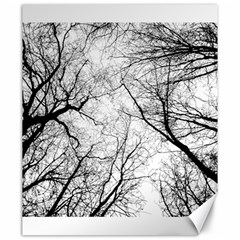 Forest Trees Silhouette Tree Canvas 20  X 24  by Pakrebo