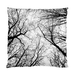 Forest Trees Silhouette Tree Standard Cushion Case (one Side) by Pakrebo