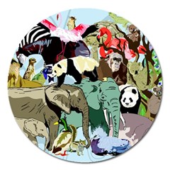 Zoo Animals Peacock Lion Hippo Magnet 5  (round) by Pakrebo