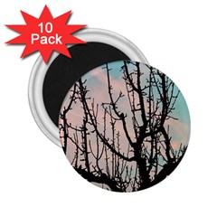 Fruit Tree Silhouette Aesthetic 2 25  Magnets (10 Pack)  by Pakrebo