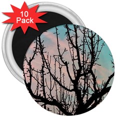 Fruit Tree Silhouette Aesthetic 3  Magnets (10 Pack)  by Pakrebo