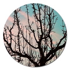 Fruit Tree Silhouette Aesthetic Magnet 5  (round) by Pakrebo