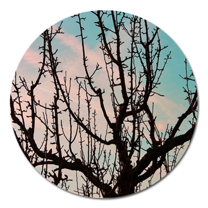 Fruit Tree Silhouette Aesthetic Magnet 5  (Round)