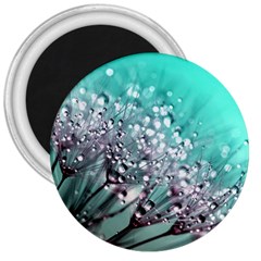 Dandelion Seeds Flower Nature 3  Magnets by Pakrebo