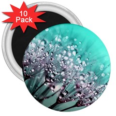 Dandelion Seeds Flower Nature 3  Magnets (10 Pack)  by Pakrebo