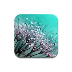 Dandelion Seeds Flower Nature Rubber Square Coaster (4 Pack)  by Pakrebo