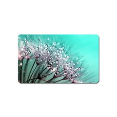 Dandelion Seeds Flower Nature Magnet (name Card) by Pakrebo