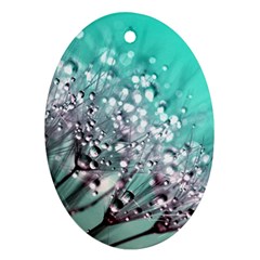 Dandelion Seeds Flower Nature Oval Ornament (two Sides) by Pakrebo