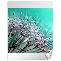 Dandelion Seeds Flower Nature Canvas 12  X 16  by Pakrebo