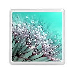 Dandelion Seeds Flower Nature Memory Card Reader (square) by Pakrebo