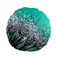 Dandelion Seeds Flower Nature Standard 15  Premium Flano Round Cushions by Pakrebo