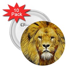 Lion Lioness Wildlife Hunter 2 25  Buttons (10 Pack)  by Pakrebo