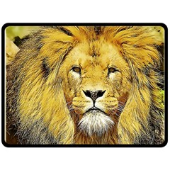 Lion Lioness Wildlife Hunter Double Sided Fleece Blanket (large)  by Pakrebo