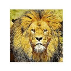 Lion Lioness Wildlife Hunter Small Satin Scarf (square)