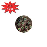 Bird Peacock Tail Feathers 1  Mini Magnets (100 pack)  Front