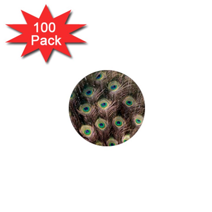 Bird Peacock Tail Feathers 1  Mini Magnets (100 pack) 