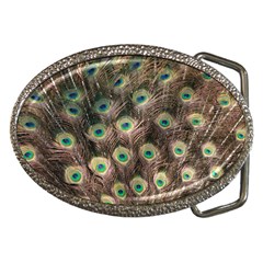 Bird Peacock Tail Feathers Belt Buckles by Pakrebo