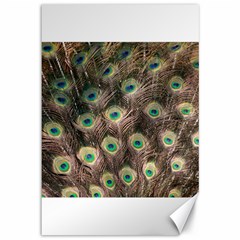 Bird Peacock Tail Feathers Canvas 12  X 18  by Pakrebo