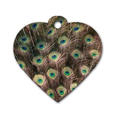 Bird Peacock Tail Feathers Dog Tag Heart (two Sides) by Pakrebo