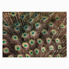 Bird Peacock Tail Feathers Large Glasses Cloth (2 Sides) by Pakrebo