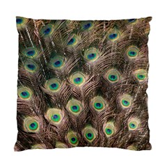 Bird Peacock Tail Feathers Standard Cushion Case (one Side)