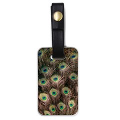 Bird Peacock Tail Feathers Luggage Tag (one Side) by Pakrebo