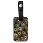 Bird Peacock Tail Feathers Luggage Tag (one side) Front