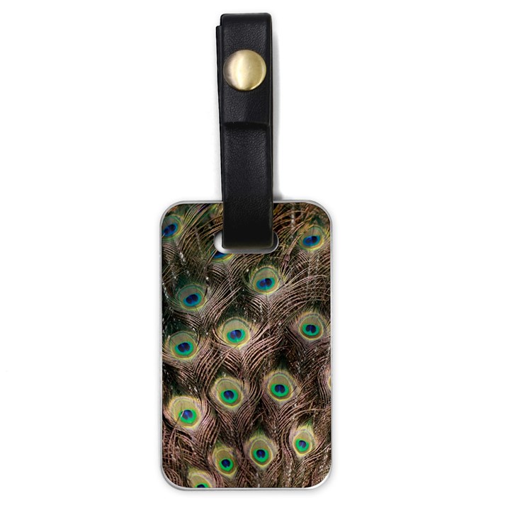 Bird Peacock Tail Feathers Luggage Tag (one side)