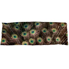 Bird Peacock Tail Feathers Body Pillow Case Dakimakura (two Sides) by Pakrebo